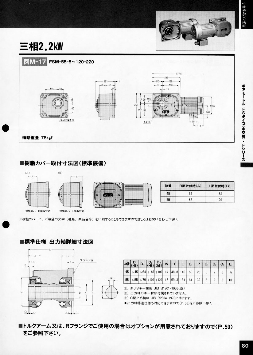 NISSEI�p�ٙC(j��)